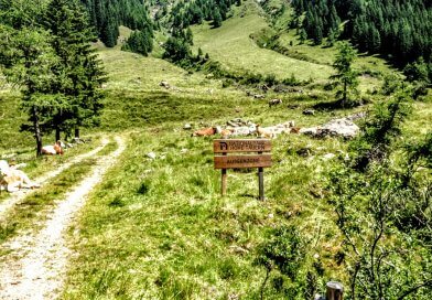 Osttirol – Dein Berg Tirol