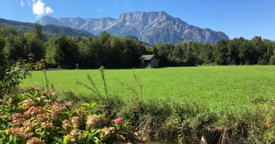 Ferienwohnung “Untersbergblick” in Puch bei Salzburg