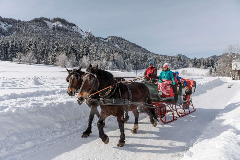 Schlittenfahrten am Weissensee Schlittenfahrten am Weissensee