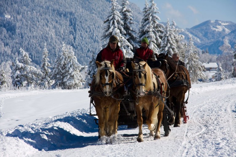 Schlittenfahrten am Weissensee Schlittenfahrten am Weissensee