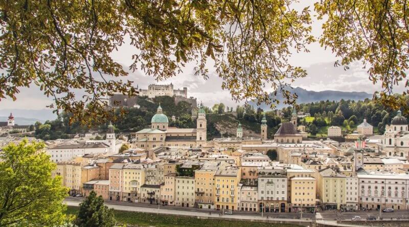 Salzburgs Stadtwälder entdecken und erkunden