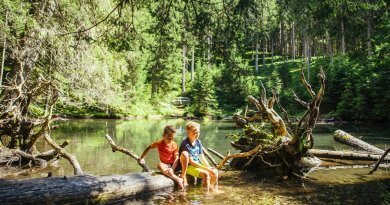 Waldkinder © salzburgerland.com