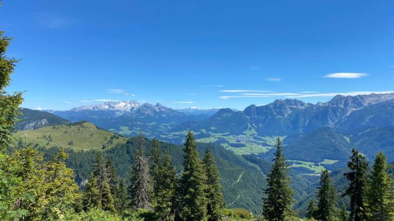 Moosangerlalm / Trattberg – Bild 15 von 16