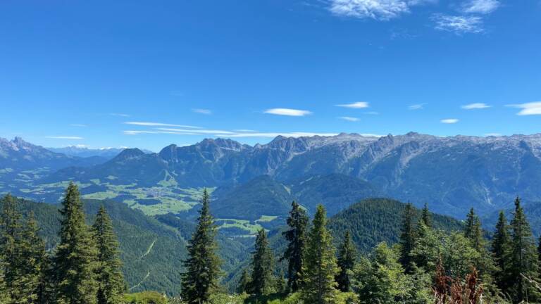 Moosangerlalm / Trattberg – Bild 14 von 16