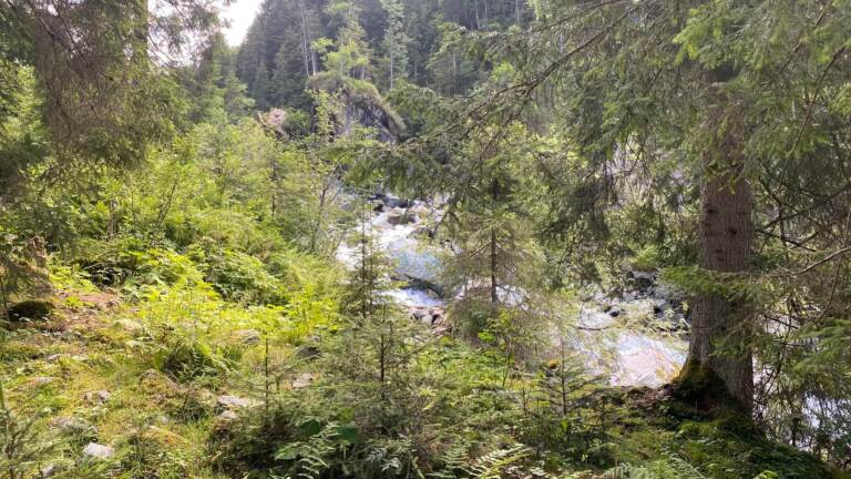 Habachtal – Smaragdtal, Eindruck 9