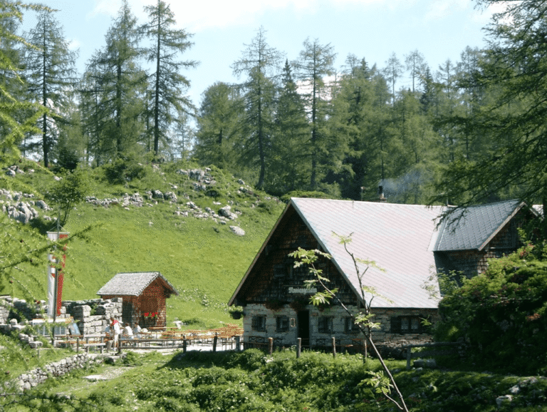 Moosangerlalm / Trattberg – Bild 6 von 16