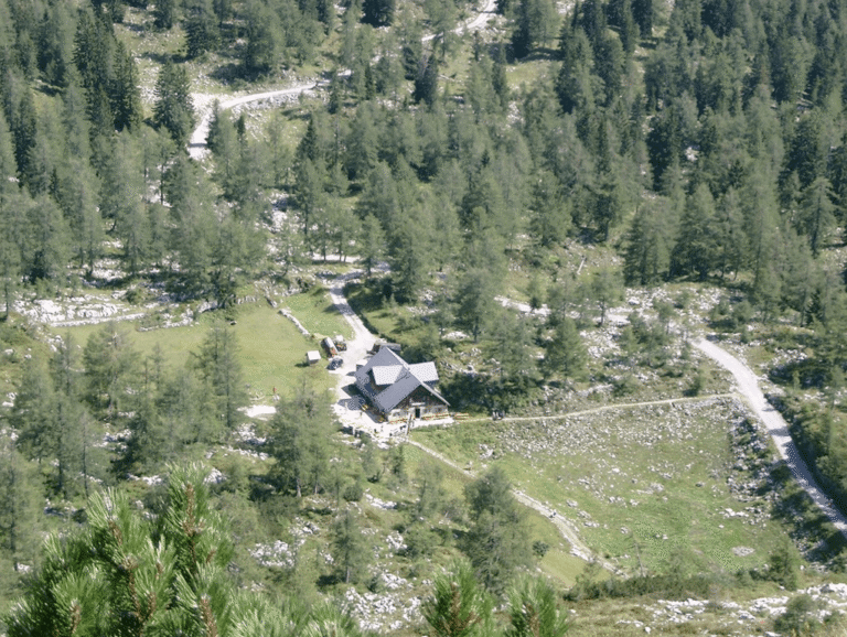 Moosangerlalm / Trattberg – Bild 1 von 16