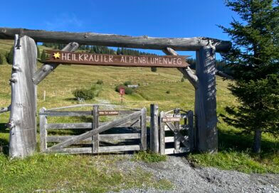 Wandern in Saalbach Hinterglemm