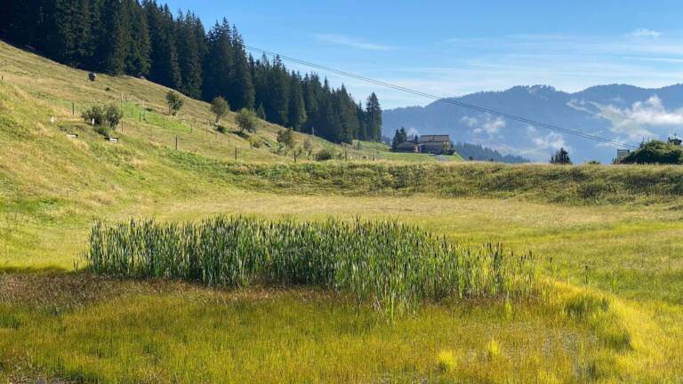 Wandern in Saalbach Hinterglemm – Bild 5 von 63