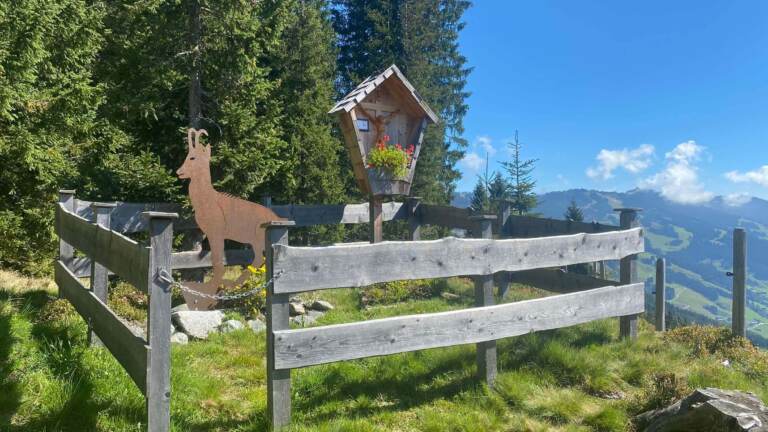 Wandern in Saalbach Hinterglemm – Bild 12 von 63