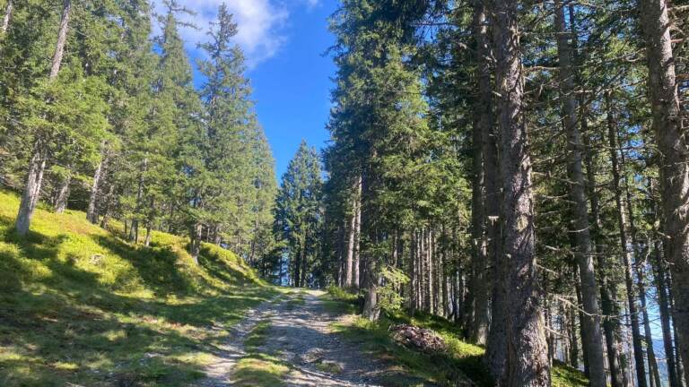 Wandern in Saalbach Hinterglemm – Bild 13 von 63