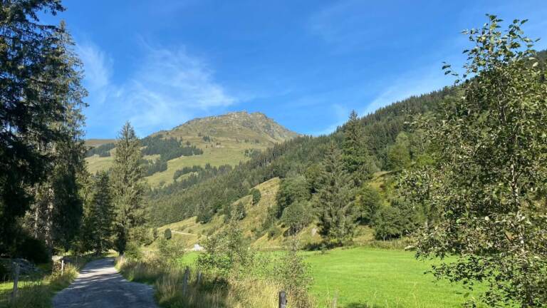 Wandern in Saalbach Hinterglemm – Bild 18 von 63
