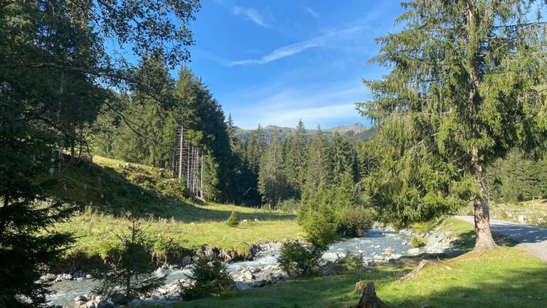 Wandern in Saalbach Hinterglemm – Bild 21 von 63
