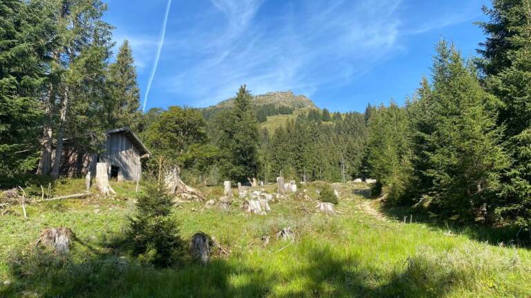 Wandern in Saalbach Hinterglemm – Bild 23 von 63