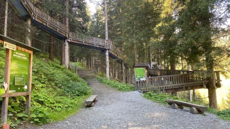 Wandern in Saalbach Hinterglemm – Bild 26 von 63