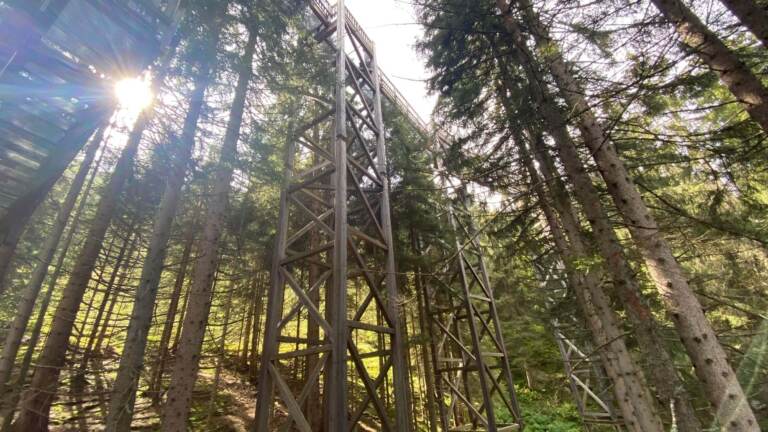 Wandern in Saalbach Hinterglemm – Bild 35 von 63