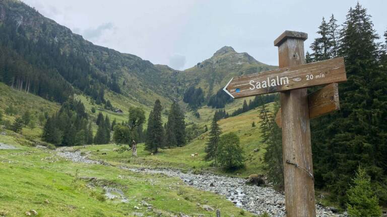 Wandern in Saalbach Hinterglemm – Bild 41 von 63