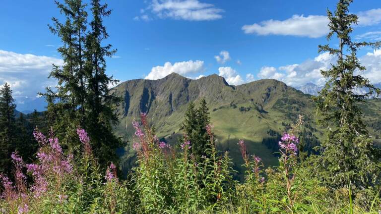 Wandern in Saalbach Hinterglemm – Bild 62 von 63