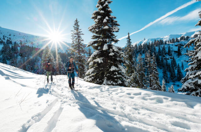 Schneeschuhwandern in Oesterreich: Einstieg und beste Gebiete