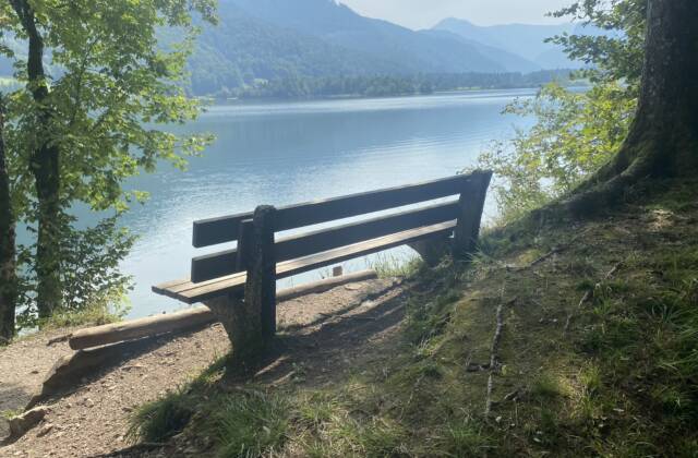 Badeseen mit Wanderweg: Perfekter Familienausflug in Oesterreich