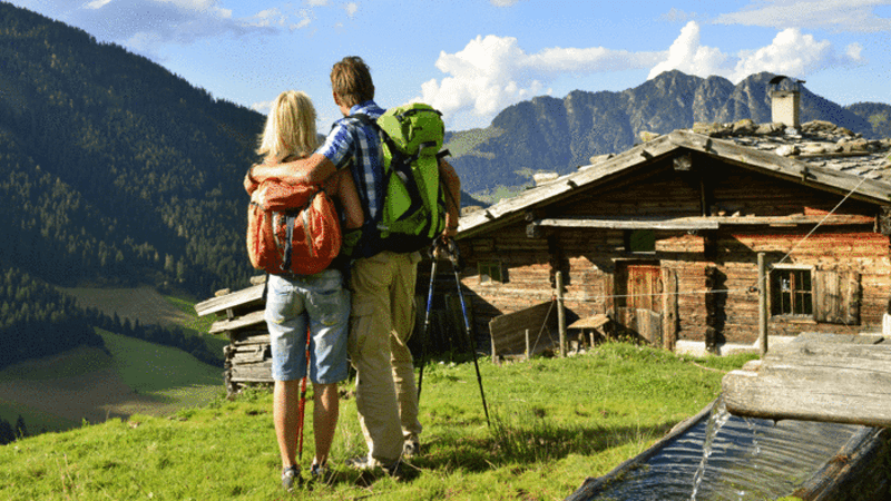 Blickfang im Herbst