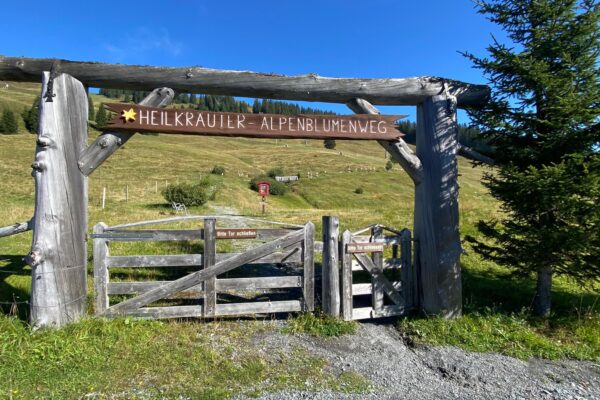 Wandern in Saalbach-Hinterglemm – Gipfelrunde Schattberg