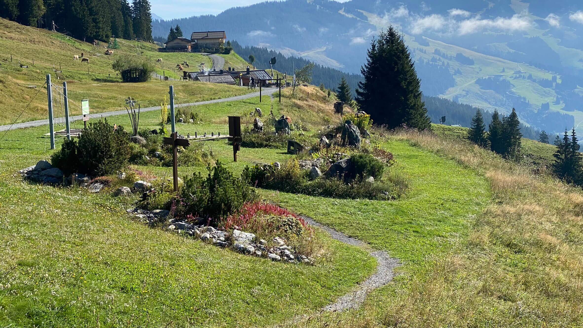 Kräutererlebnisweg auf der Reiteralm