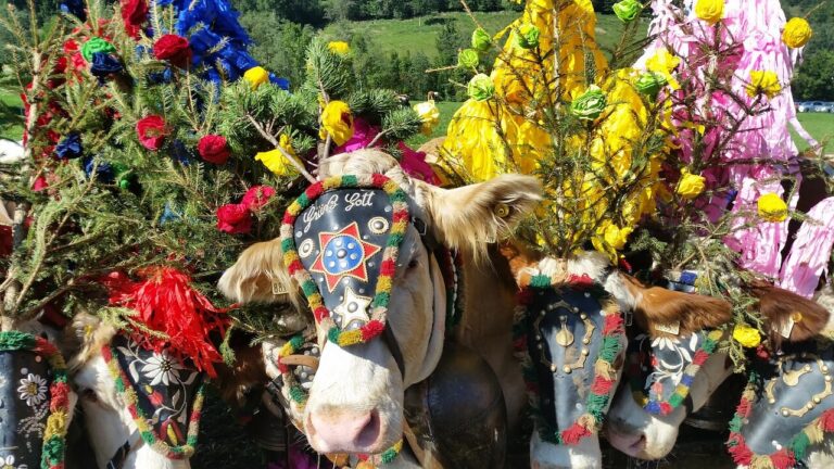 Almabtrieb in Tirol