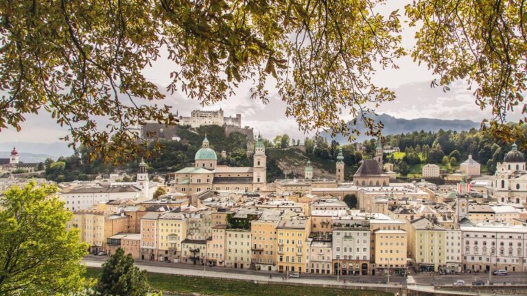 Salzburgs Stadtwälder entdecken und erkunden