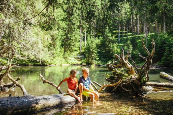 Waldkinder © salzburgerland.com