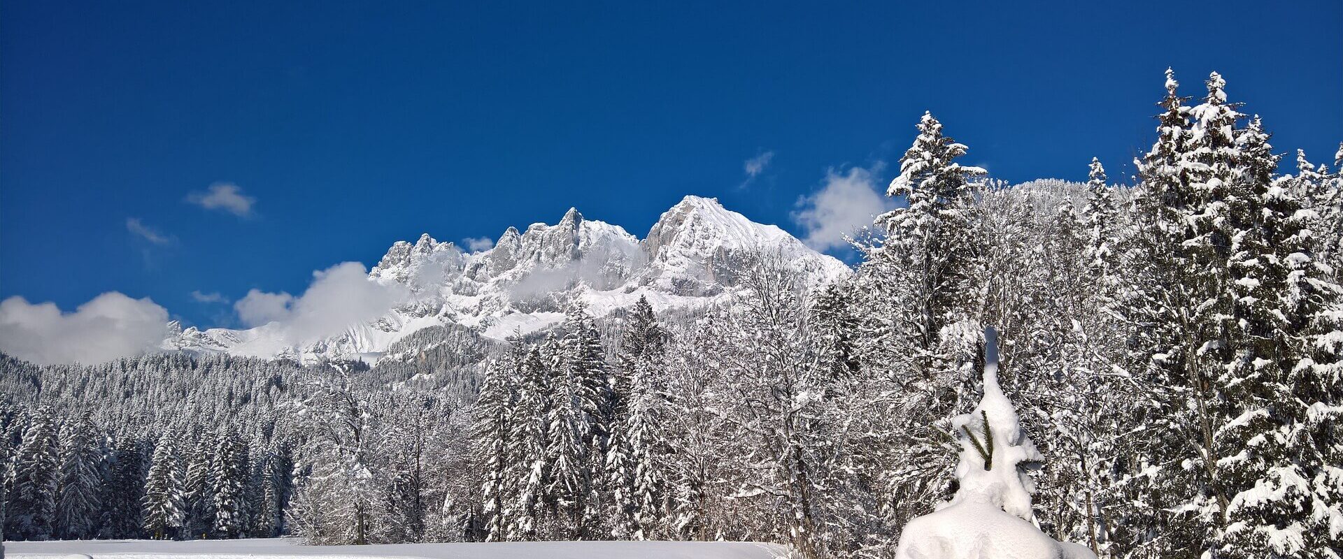 SkiWelt Wilder Kaiser – Brixental: Winterspaß für die ganze Familie