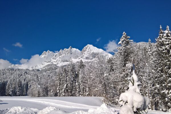 SkiWelt Wilder Kaiser – Brixental: Winterspaß für die ganze Familie