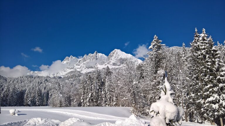 SkiWelt Wilder Kaiser – Brixental: Winterspaß für die ganze Familie