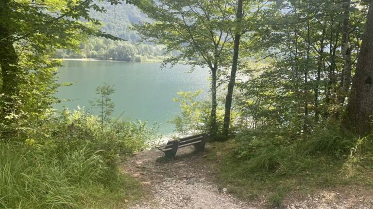 Vorschaubild: Der Hintersee in der Fuschlseeregion