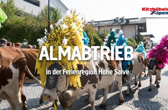 Vorschaubild: Hier tanzen die Kühe