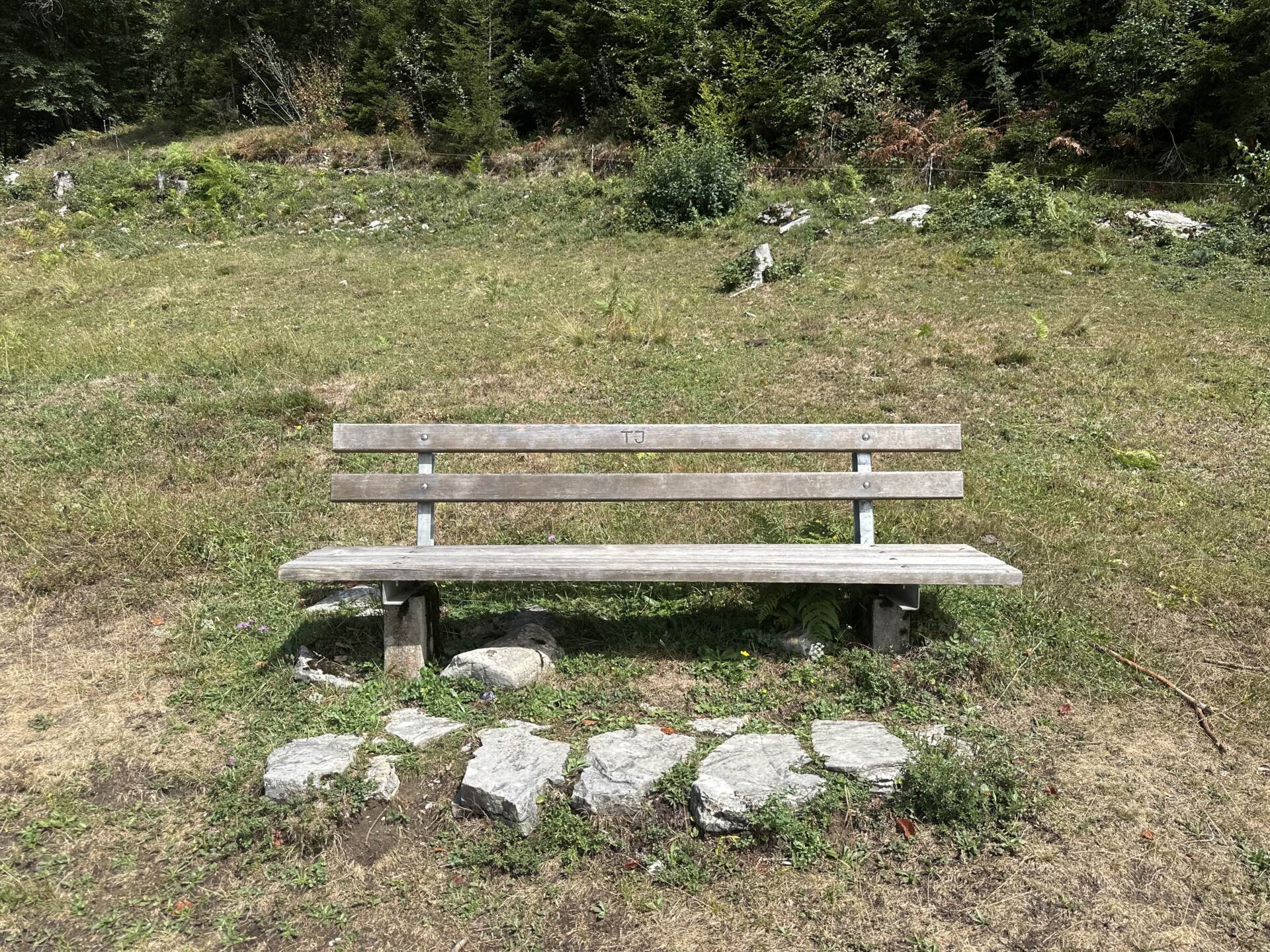 Holzbank zum Rasten auf der Wiese bei der Erentrudisalm