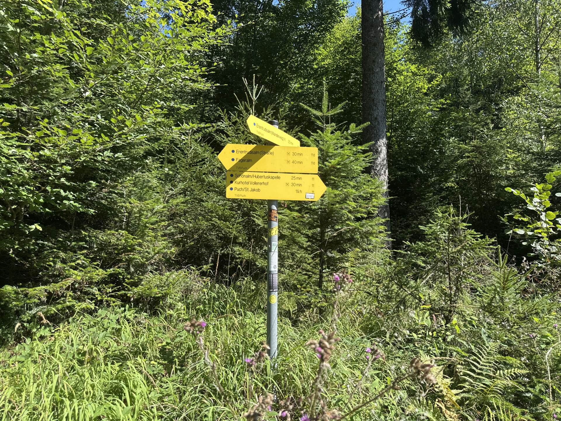 Gelbe Wegtafel weist den Weg zur Erentrudisalm