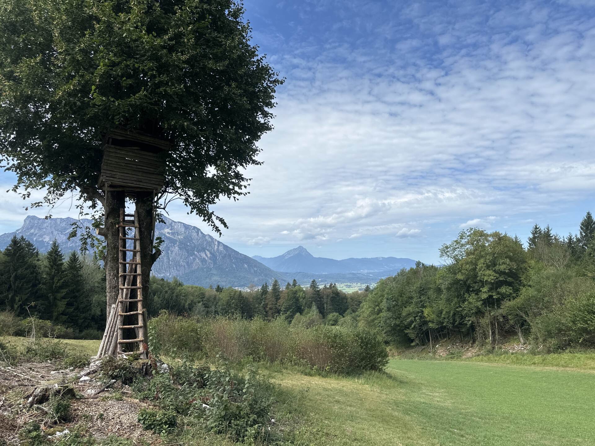 Hölzerner Bildstock am Weg, dahinter der Untersberg unter blauem Himmel