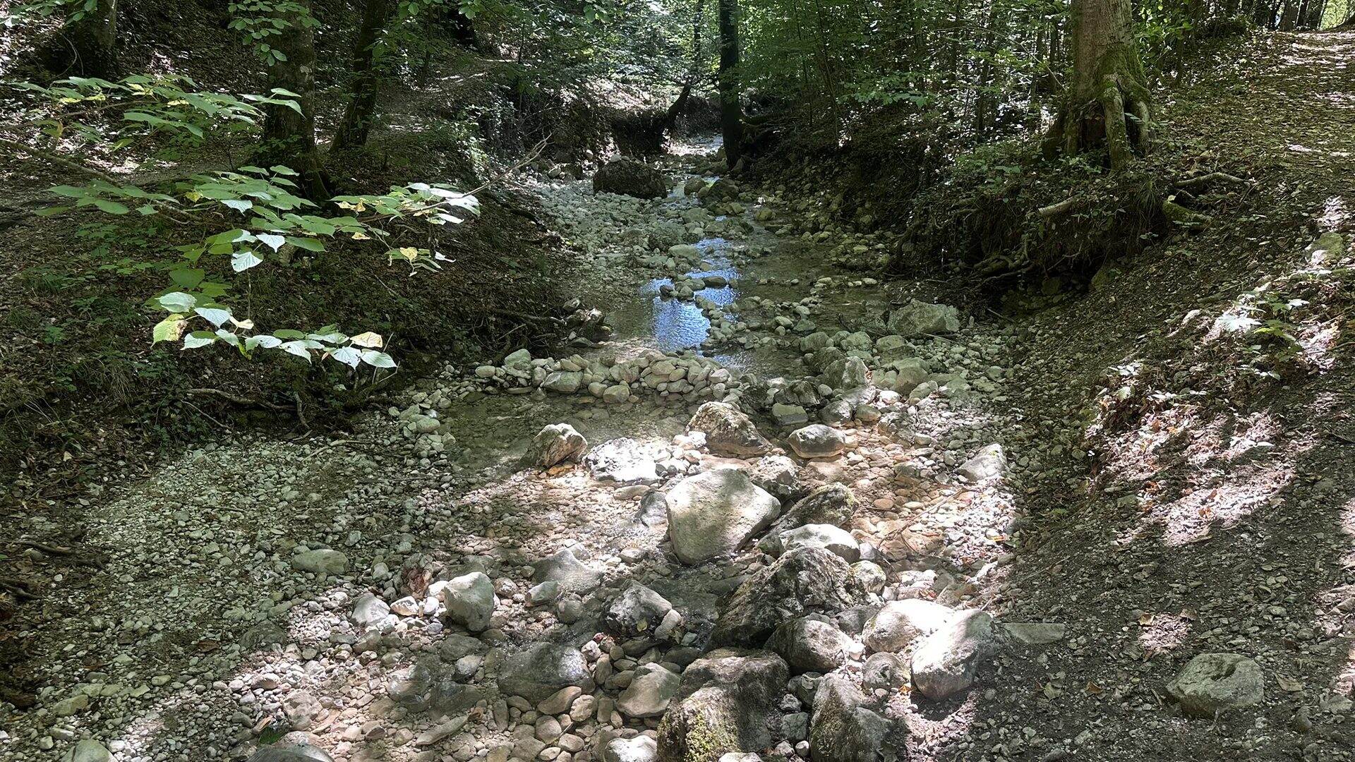 Steiniges Bachbett mit hellen Kieseln und schmalem Wasserlauf im Aigner Park