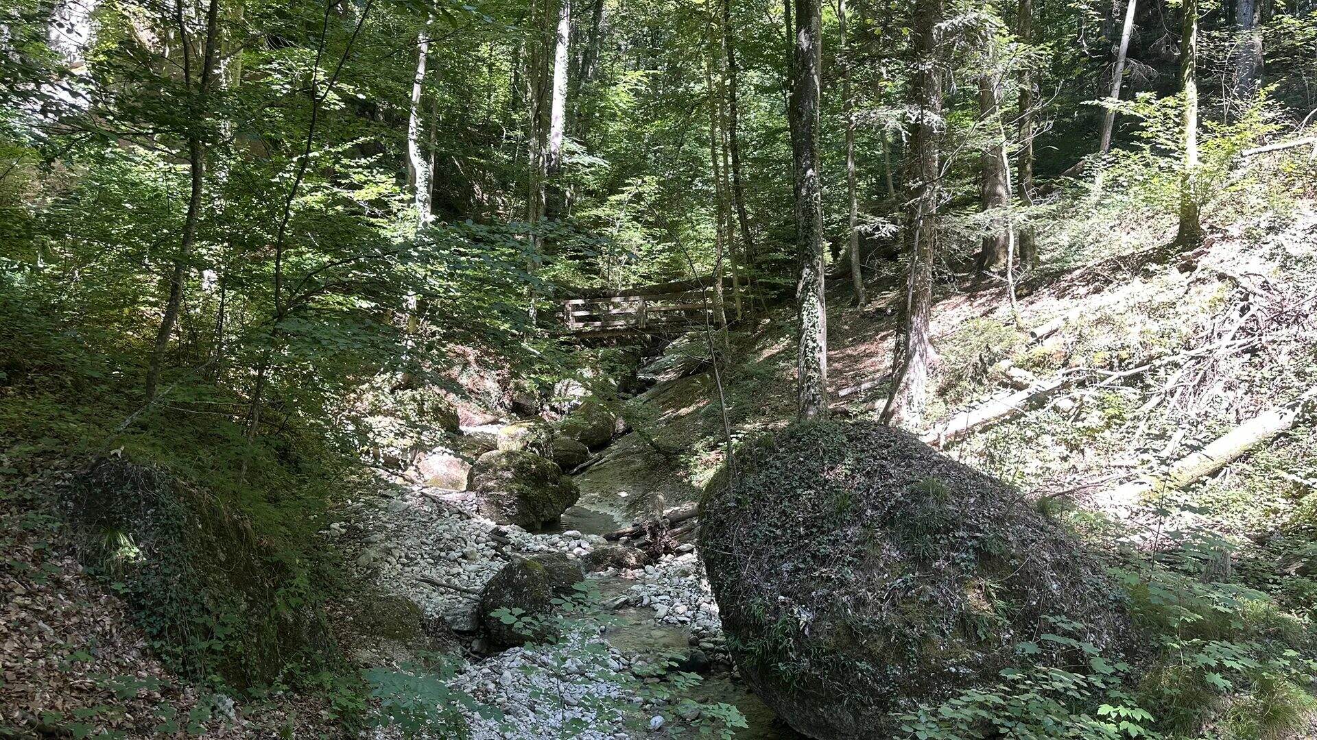 Großer bemooster Felsblock im Bachbett des Aigner Parks, im Hintergrund eine Holzbrücke