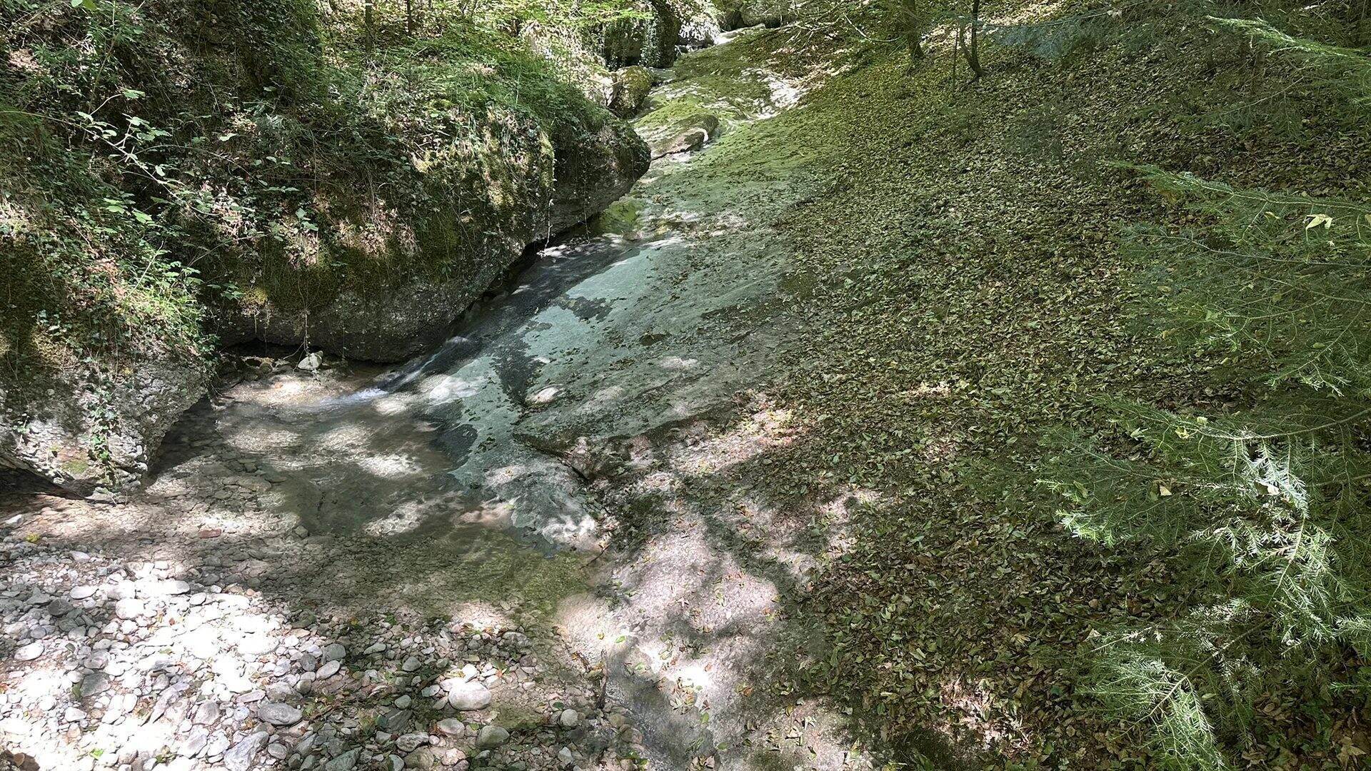Vom Wasser glatt geschliffene Felsplatte und moosbewachsener Hang am Bachlauf im Aigner Park
