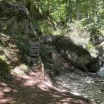Holztreppe und Schautafel neben einem großen Felsblock am Bachlauf im Aigner Park in Salzburg-Aigen