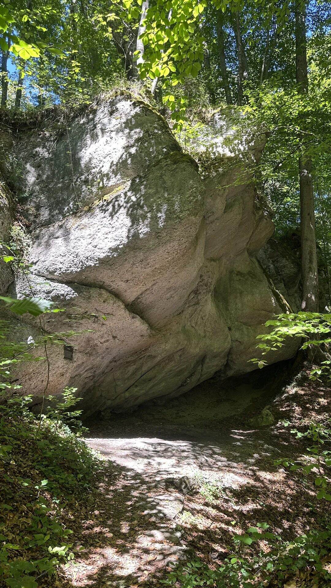Mächtige überhängende Konglomeratfelswand über dem Weg im Aigner Park