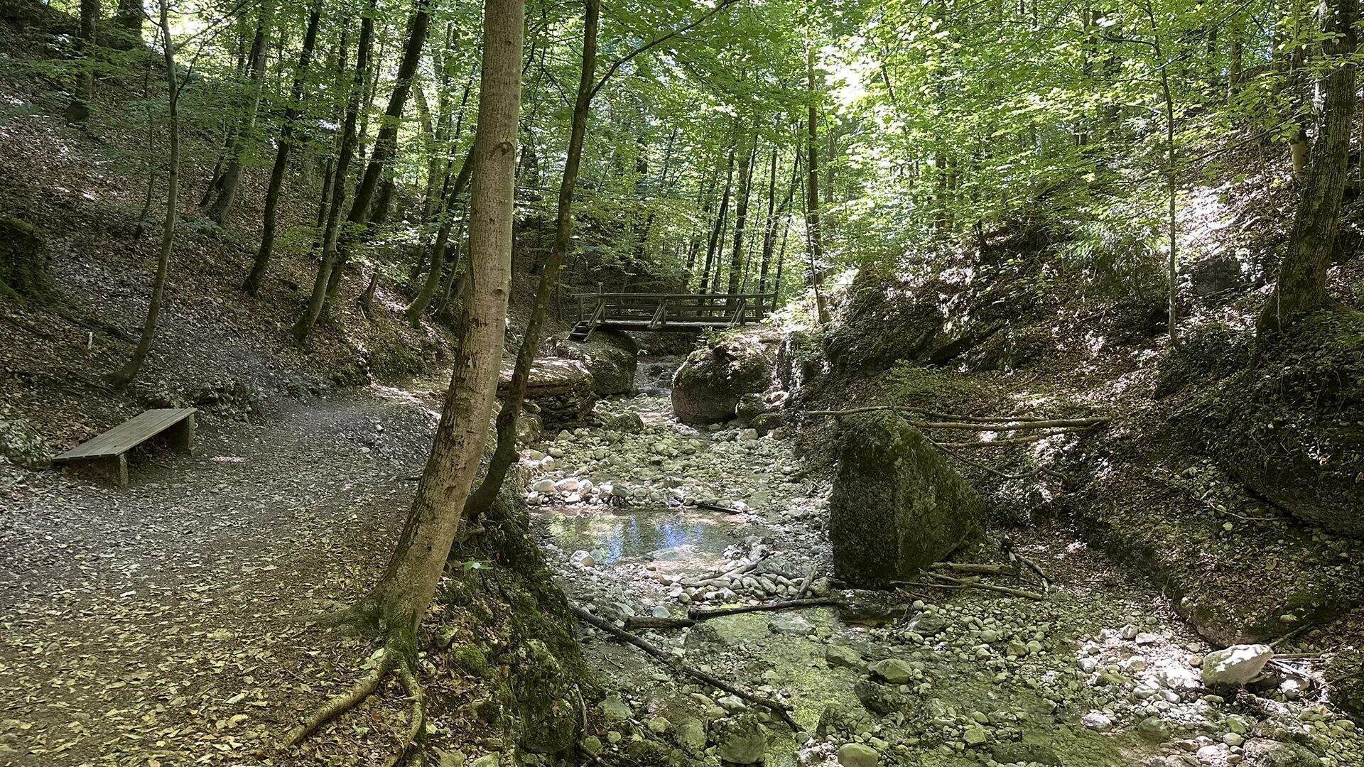 Waldweg mit Holzbank entlang des steinigen Bachbetts im Aigner Park, im Hintergrund eine Holzbrücke