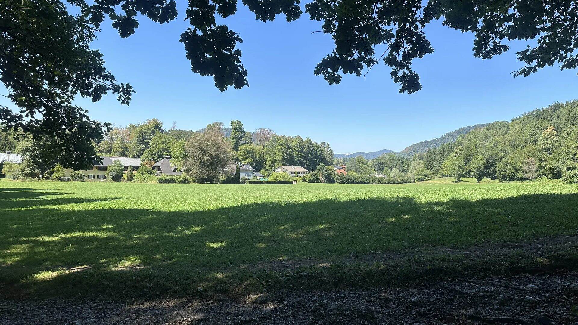 Sonnige Wiese am Rand des Aigner Parks mit Blick auf Häuser von Salzburg-Aigen und die bewaldeten Hänge des Gaisbergs