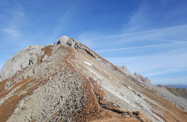 Spuller Schafberg 2.679 m | Dalaas