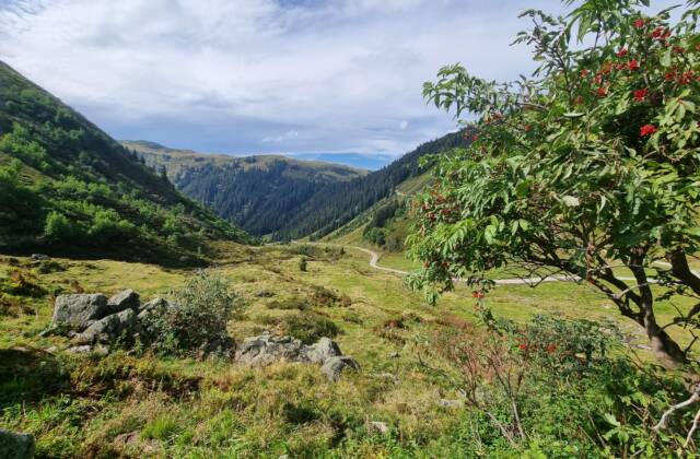 Sonnenkopf – Obere Wasserstuben Alpe | Wald am Arlberg – Silbertal