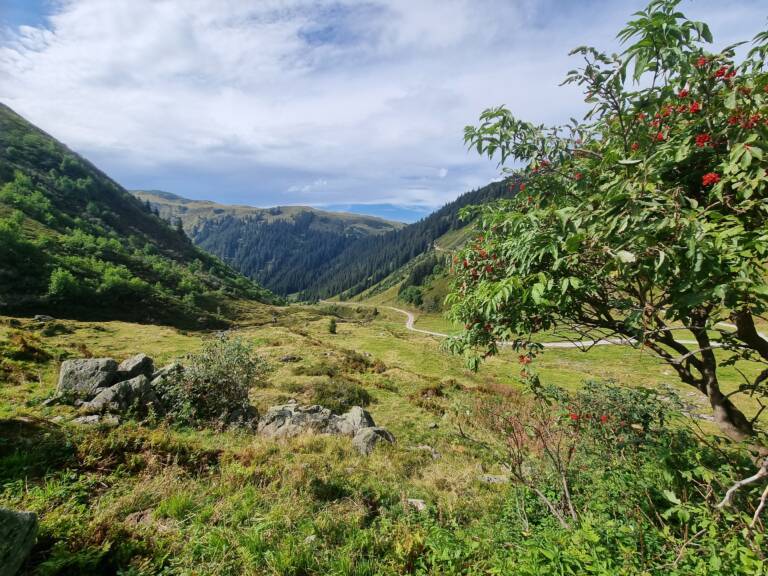 Sonnenkopf – Obere Wasserstuben Alpe | Wald am Arlberg – Silbertal