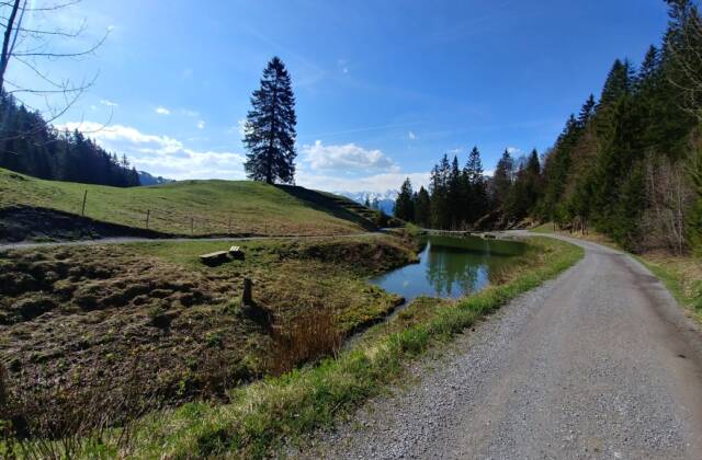 Kurze Muttersbergrunde zum Weiher | Bludenz-Nüziders