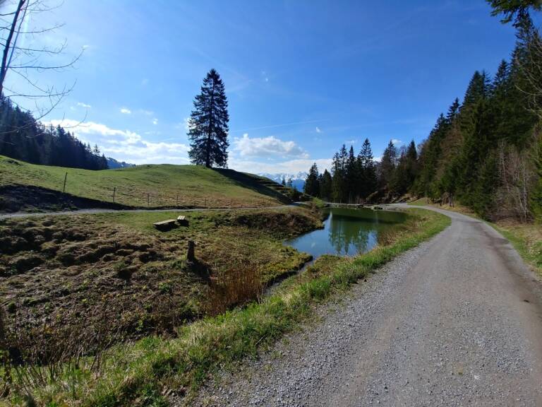 Kurze Muttersbergrunde zum Weiher | Bludenz-Nüziders